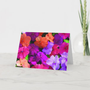 Multi Colour Flowers Card - blank