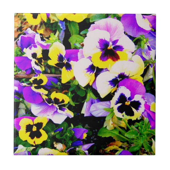 multi-colour pansies tile (Front)