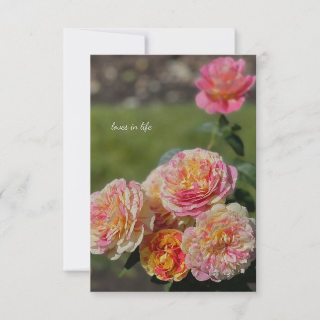 Multi Colour Pink & Yellow Roses Card (Front)