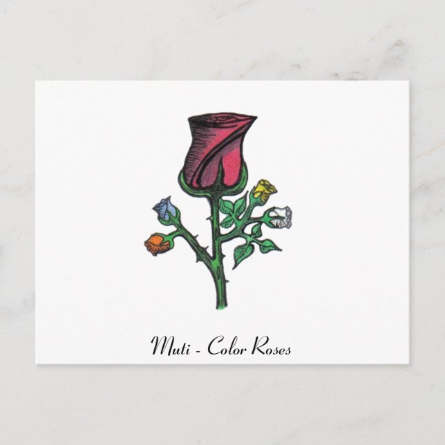 Multi - Colour Roses Postcard (Front)