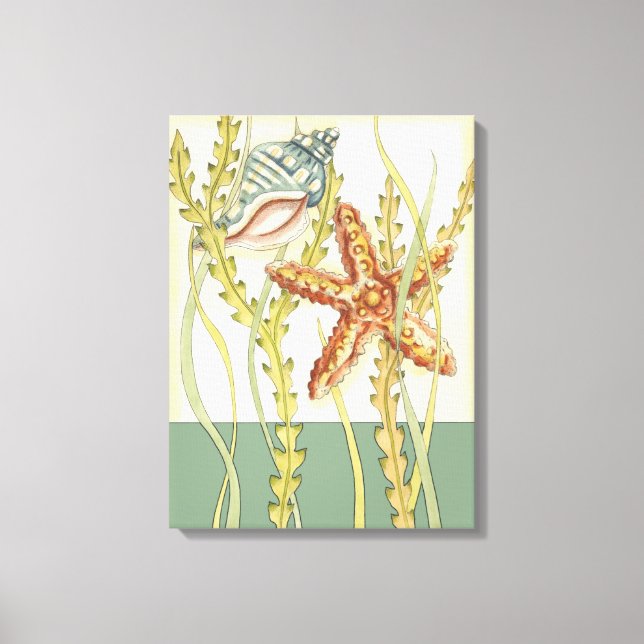 Multi-Colour Shell Party Canvas Print (Front)