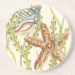 Multi-Colour Shell Party Coaster<br><div class="desc">Charikilia Zarris is a talented artist know for her ocean artwork. Her images are peaceful and calm relaxing you with every picture. Get this nautical piece of artwork with a starfish and a Conch shell being the centre of it all, bordered with beautiful kelp. This image will look great on...</div>