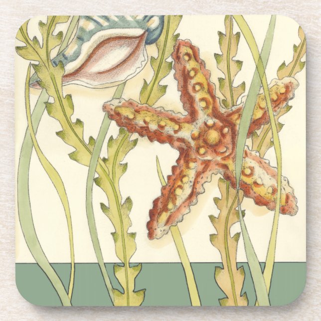 Multi-Colour Shell Party Coaster (Front)