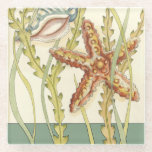 Multi-Colour Shell Party Glass Coaster<br><div class="desc">Charikilia Zarris is a talented artist know for her ocean artwork. Her images are peaceful and calm relaxing you with every picture. Get this nautical piece of artwork with a starfish and a Conch shell being the centre of it all, bordered with beautiful kelp. This image will look great on...</div>