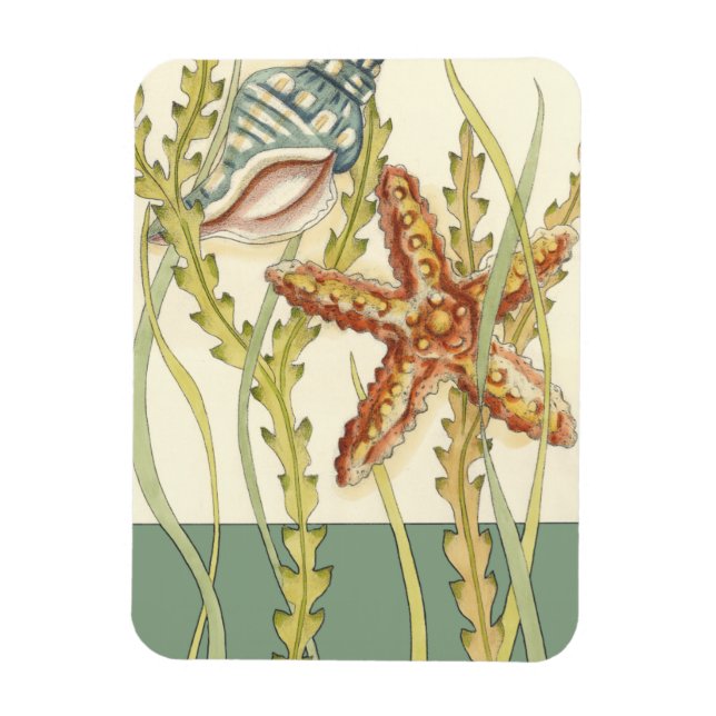 Multi-Colour Shell Party Magnet (Vertical)