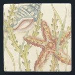 Multi-Colour Shell Party Stone Coaster<br><div class="desc">Charikilia Zarris is a talented artist know for her ocean artwork. Her images are peaceful and calm relaxing you with every picture. Get this nautical piece of artwork with a starfish and a Conch shell being the centre of it all, bordered with beautiful kelp. This image will look great on...</div>