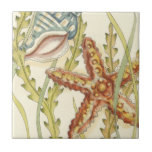 Multi-Colour Shell Party Tile<br><div class="desc">Charikilia Zarris is a talented artist know for her ocean artwork. Her images are peaceful and calm relaxing you with every picture. Get this nautical piece of artwork with a starfish and a Conch shell being the centre of it all, bordered with beautiful kelp. This image will look great on...</div>