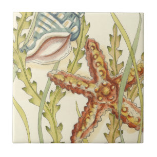 Multi-Colour Shell Party Tile
