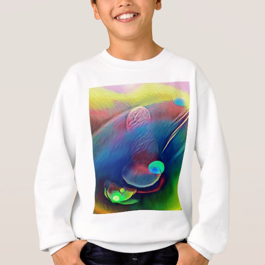 Multi+Colour Universe Abstract Alien Worlds Sweatshirt