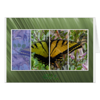 Multi Coloured Butterfly