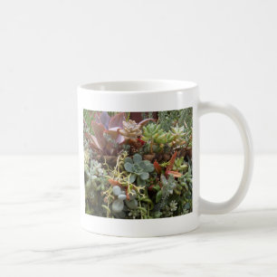 Multi-coloured-Cacti Coffee Mug