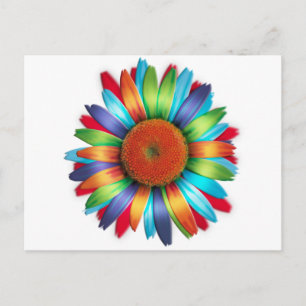 Multi-coloured Daisy Postcard