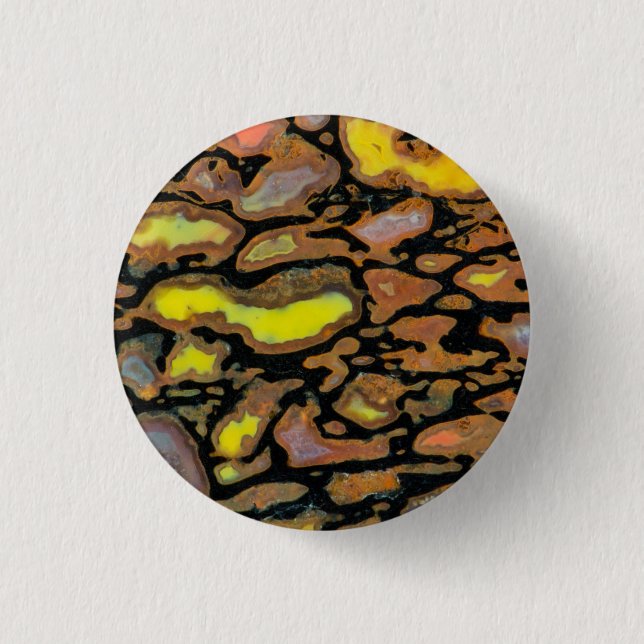 Multi Coloured Dinosaur Bone 1 Inch Round Button (Front)