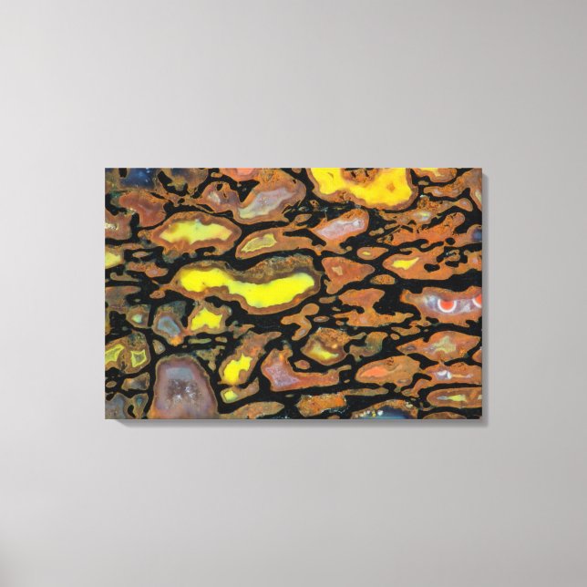 Multi Coloured Dinosaur Bone Canvas Print (Front)