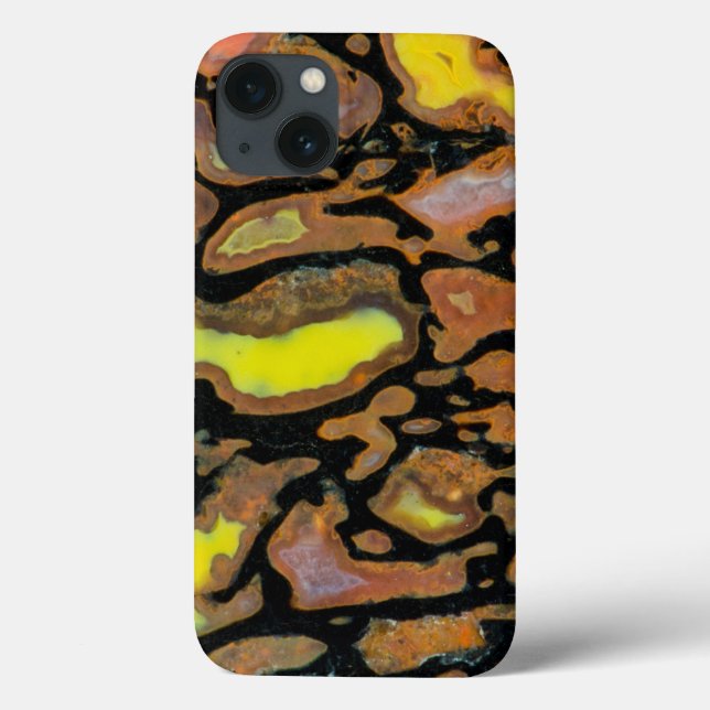 Multi Coloured Dinosaur Bone Case-Mate iPhone Case (Back)