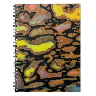 Multi Coloured Dinosaur Bone Notebook