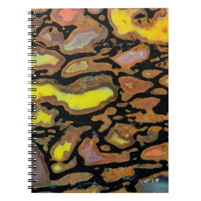 Multi Coloured Dinosaur Bone Notebook (Front)