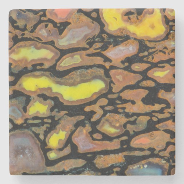 Multi Coloured Dinosaur Bone Stone Coaster (Front)
