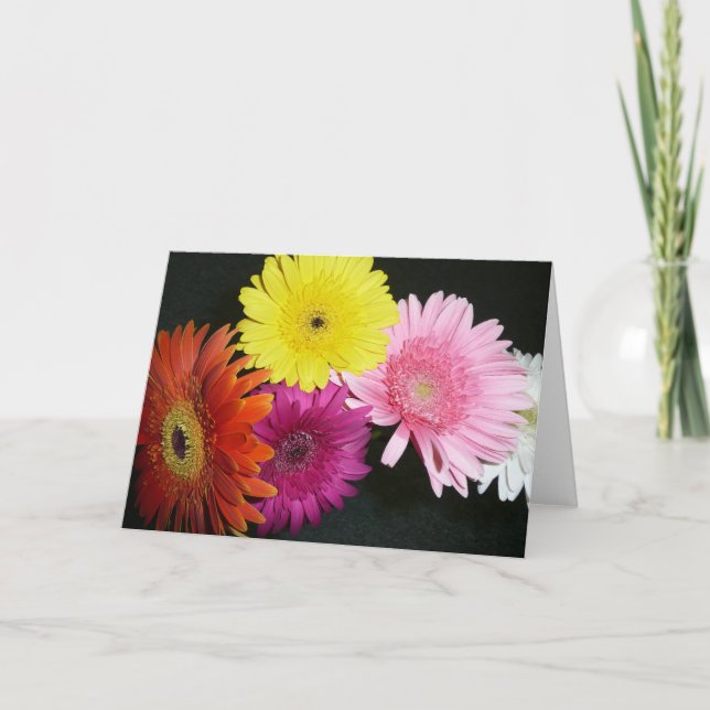 Multi coloured gerbers card (Front)