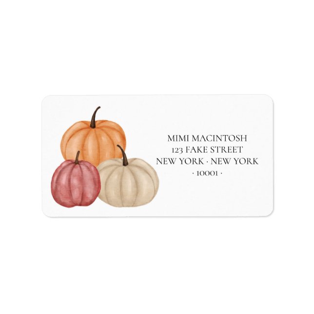 Multi-coloured Pumpkins Address Labels (Front)