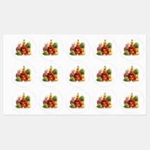 Multi Colours Anagry  Birds