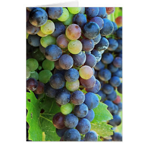 Multi Grapes