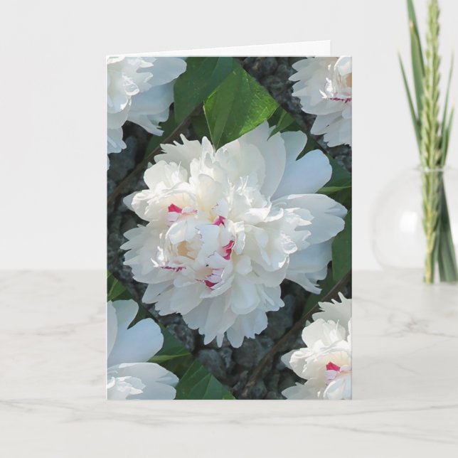 Multi Precious Peony Greeting and/or Note Card (Front)