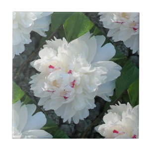 Multi Precious Peony Tile