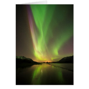 Multicolored Aurora