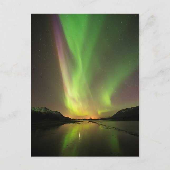Multicolored Aurora Postcard (Front)