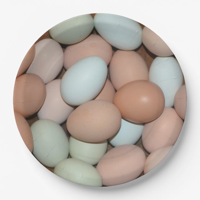 Multicolored Chicken Eggs Paper Plate (Front)