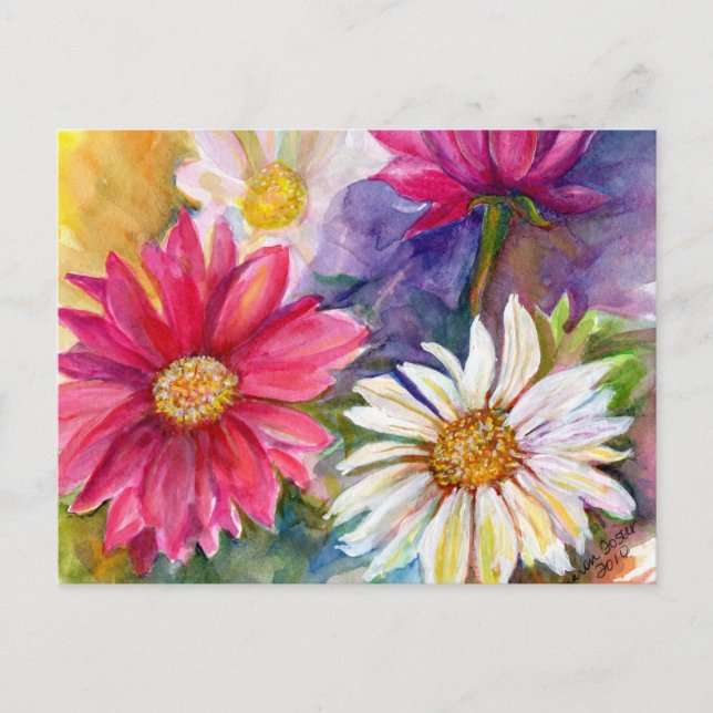 Multicolored Gerbera Daisies Postcard (Front)