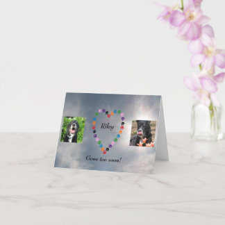 Multicolored Paw Print Heart Dog Sympathy  Card