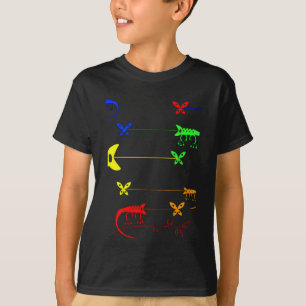 Multicolored, Rainbow Chameleon T-Shirt