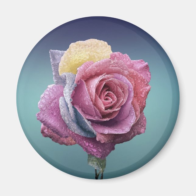 Multicolored Rose Magnet (Front)