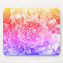 Multicolored Roses, Yellow, Pink, Purple