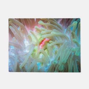 Multicolored Sea Anemone Doormat