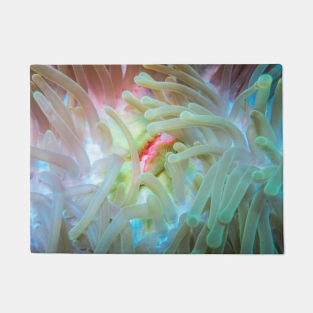 Multicolored Sea Anemone Doormat (Front)