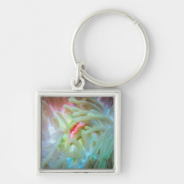 Multicolored Sea Anemone Keychain (Front)