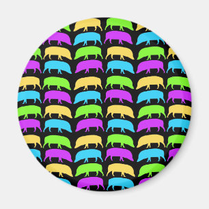 Multicoloured Hogs Magnet