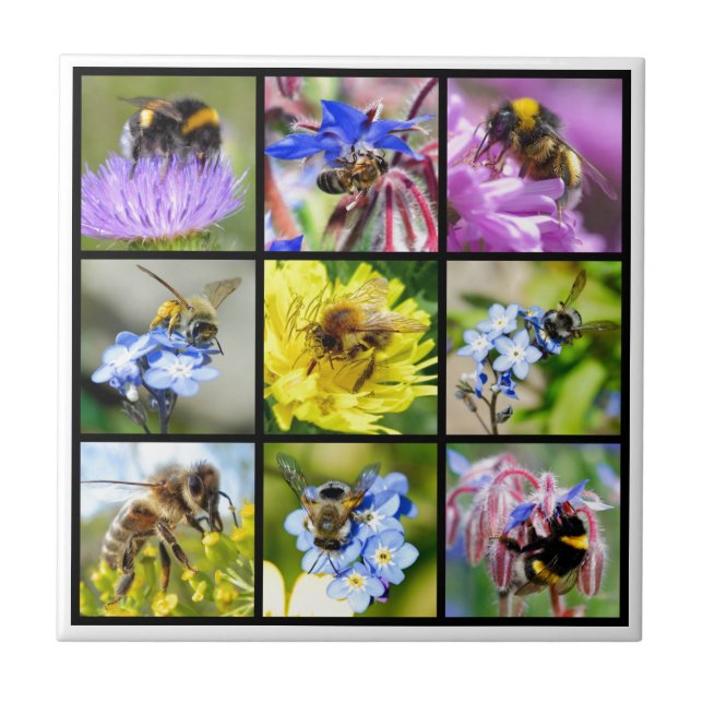 Multiple bees and bumblebees tile (Front)