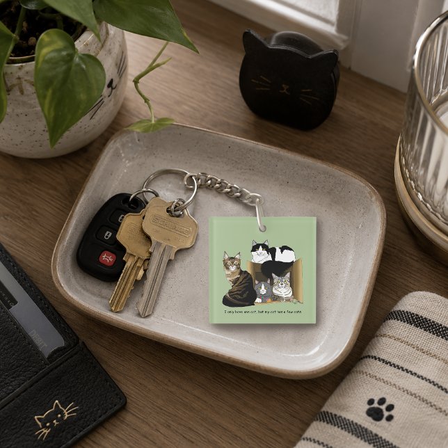 Multiple Cat Households Green Funny QR code Keychain (Creator Uploaded)