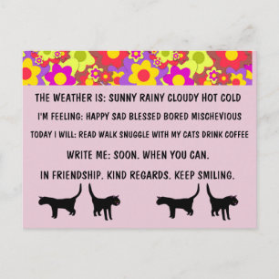 MULTIPLE CHOICE CAT POSTCARDS FOR BUSY PERSON