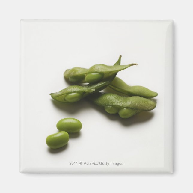 multiple green edamame beans with pea pod broken magnet (Front)