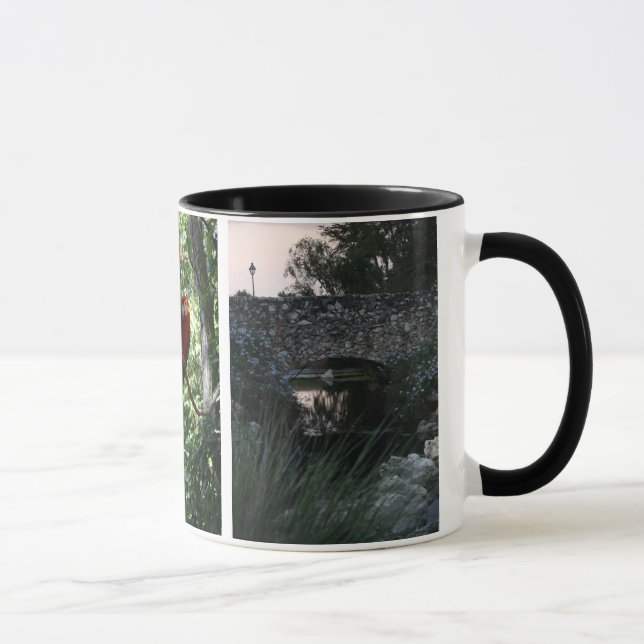 Multiple Image Coffee Mug (Right)