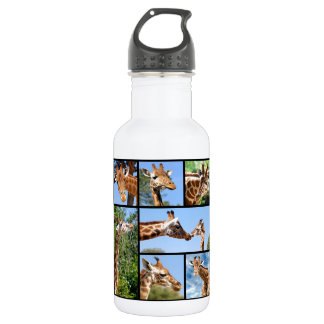 Multiple photos of giraffes 532 ml water bottle