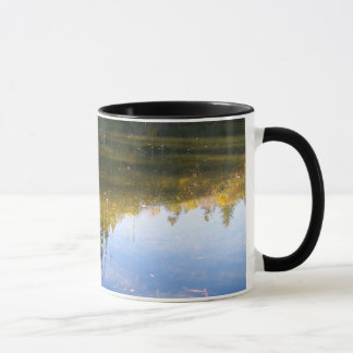 Multiple Reflections Mug