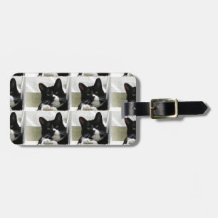 Multiple Tuxedo Cat Pattern Luggage Tag