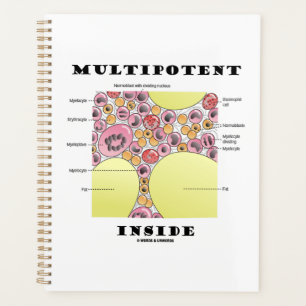 Multipotent Inside Blood Cell Formation Humour Planner