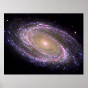 Multiwavelength M81 Poster